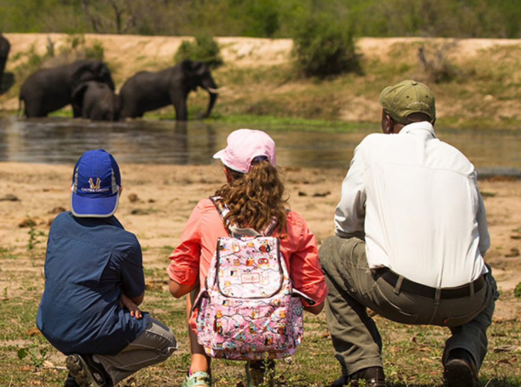 family safari: kids club at Chitwa Chitwa