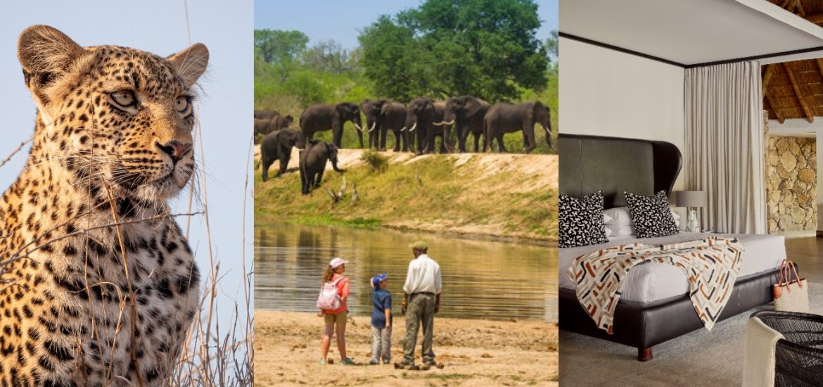 Chitwa Chitwa family safari