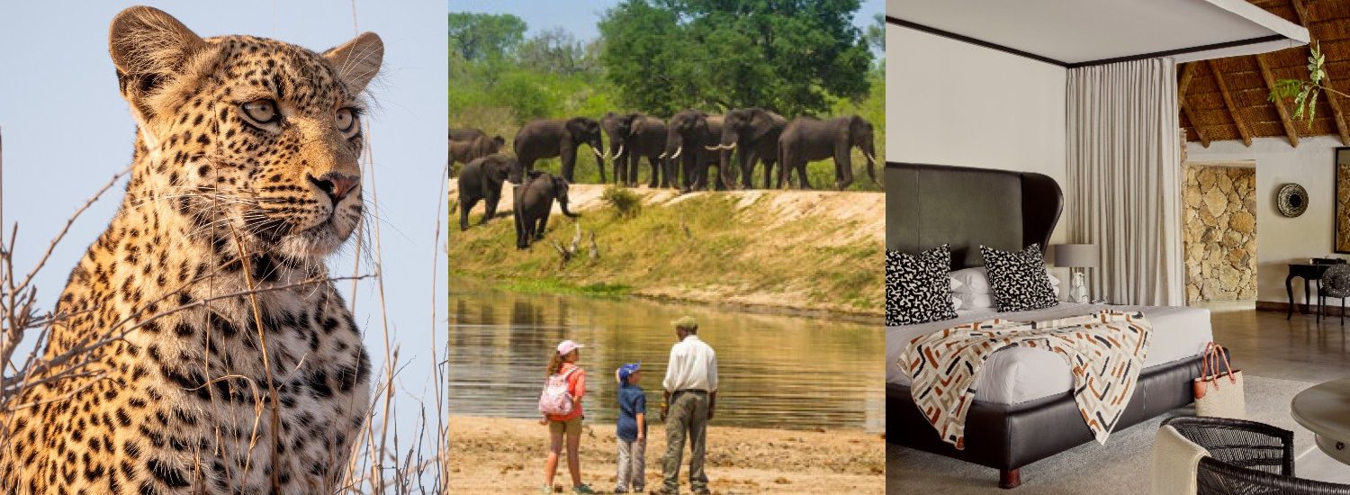 Chitwa Chitwa family safari