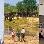 Chitwa Chitwa family safari