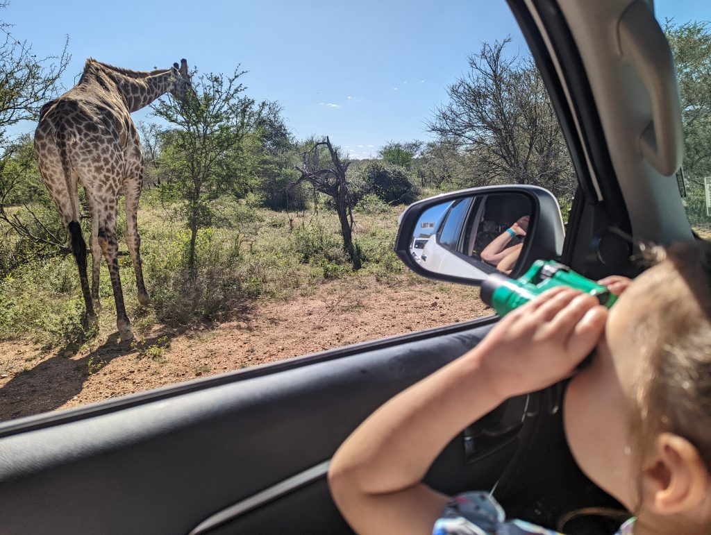 Child looking at giraffe through binoculars on safari