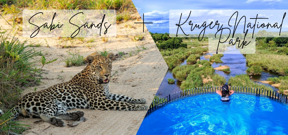 Best of Both Worlds Luxury Safari