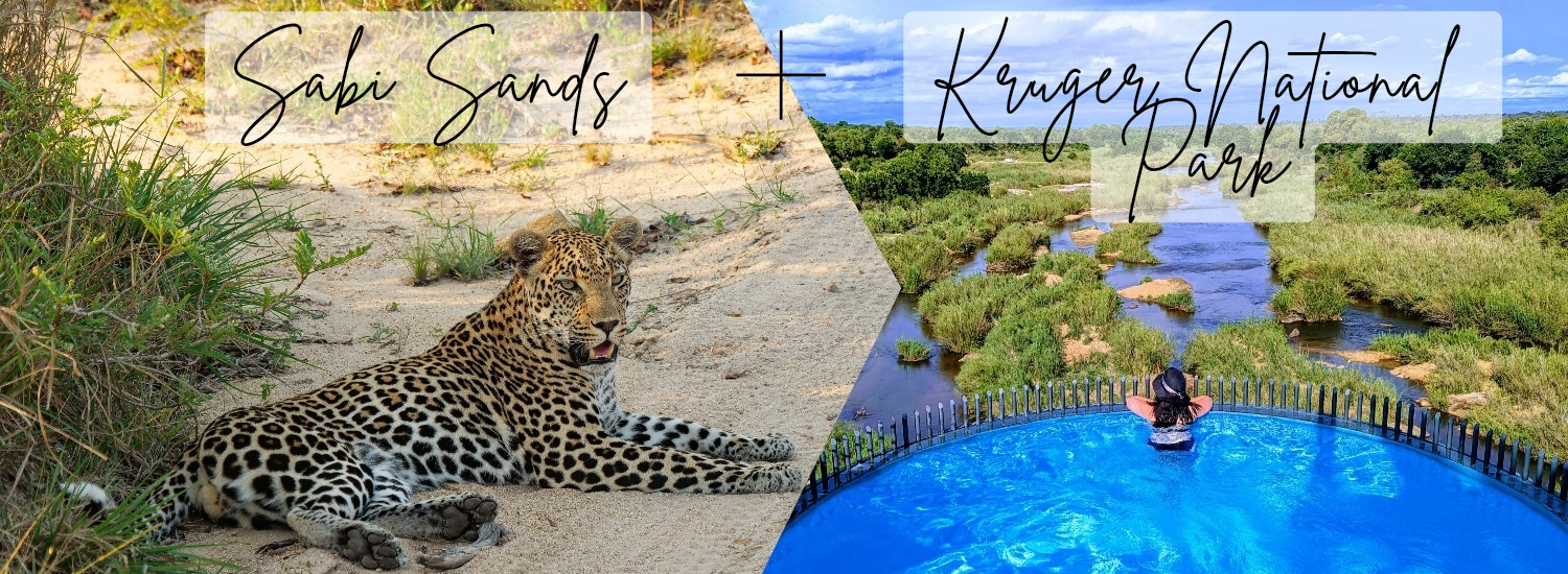 Best of Both Worlds Luxury Safari